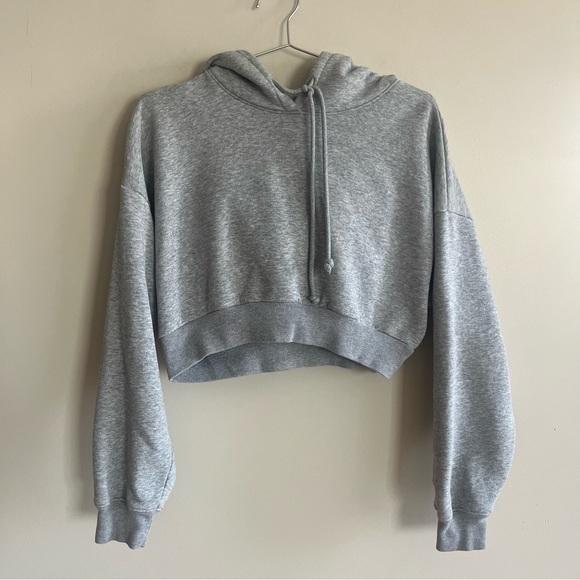 TNA Tops - Aritzia TNA The Super Crop Hoodie in Grey